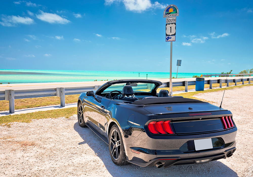 Florida Car Insurance
